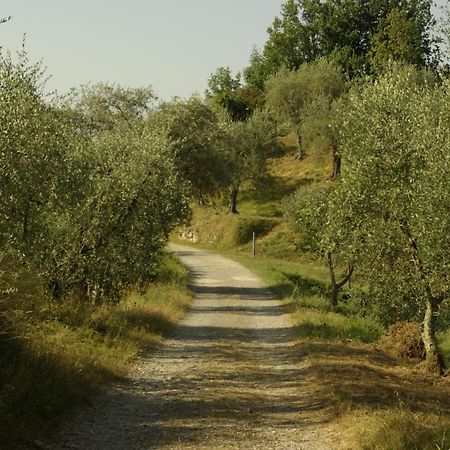 Aramo Verde Екстериор снимка