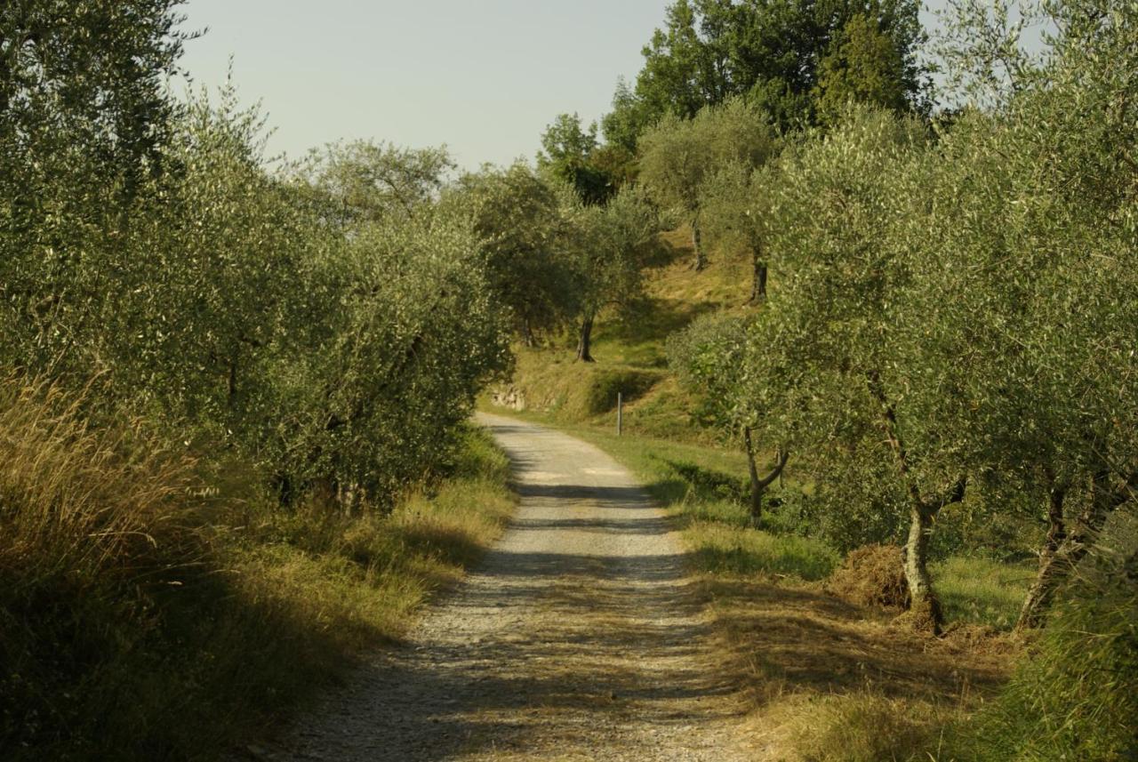 Aramo Verde Екстериор снимка